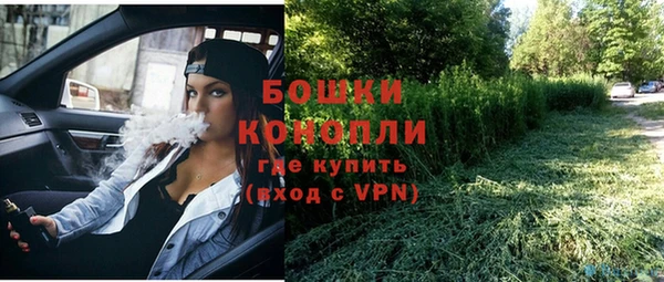 прущие грибы Беломорск