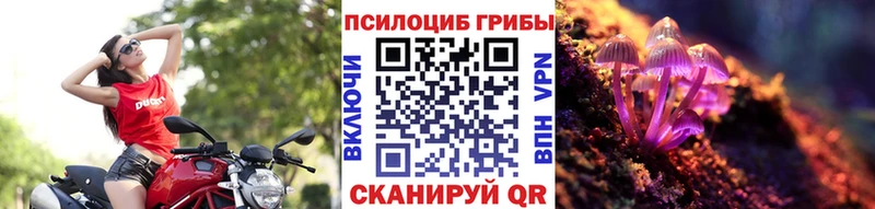 Галлюциногенные грибы GOLDEN TEACHER  Верхняя Пышма 